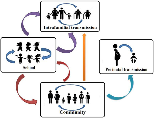 COVID-19 outbreak: Migration, effects on society, global environment and prevention - ScienceDirect